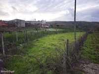 Terreno rústico em Espinheiro, no Estreito, Oleiros
