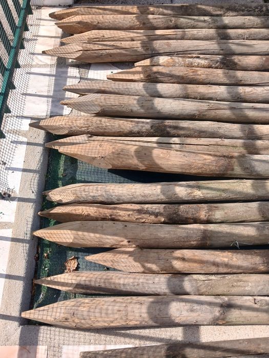 Promoção Vendo paus tratados em bom estado. Paus tratados com diâmetr