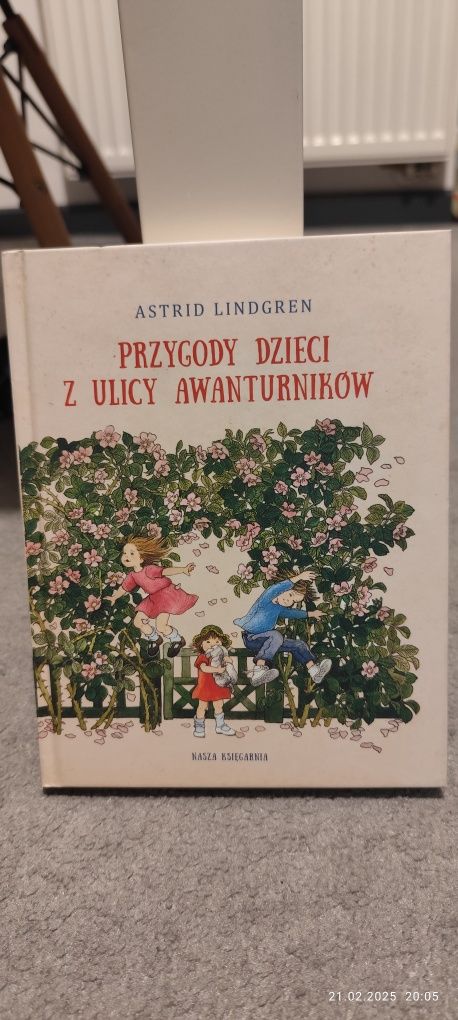Książka Przygody Dzieci z Ulicy Awanturników