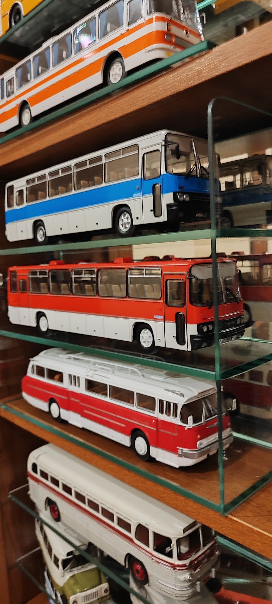 Коллекция автобусов 1:43