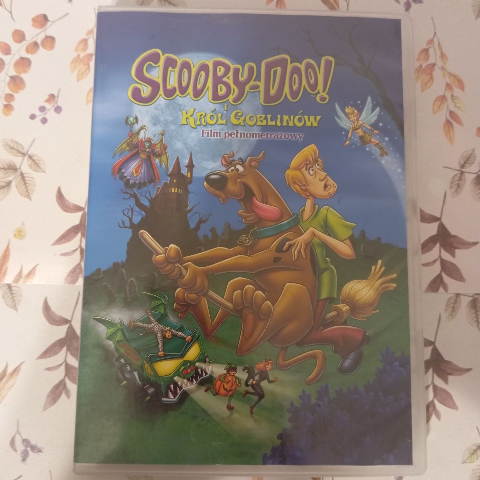 Scooby-Doo i król Goblinów, DVD stan dobry, extra cena