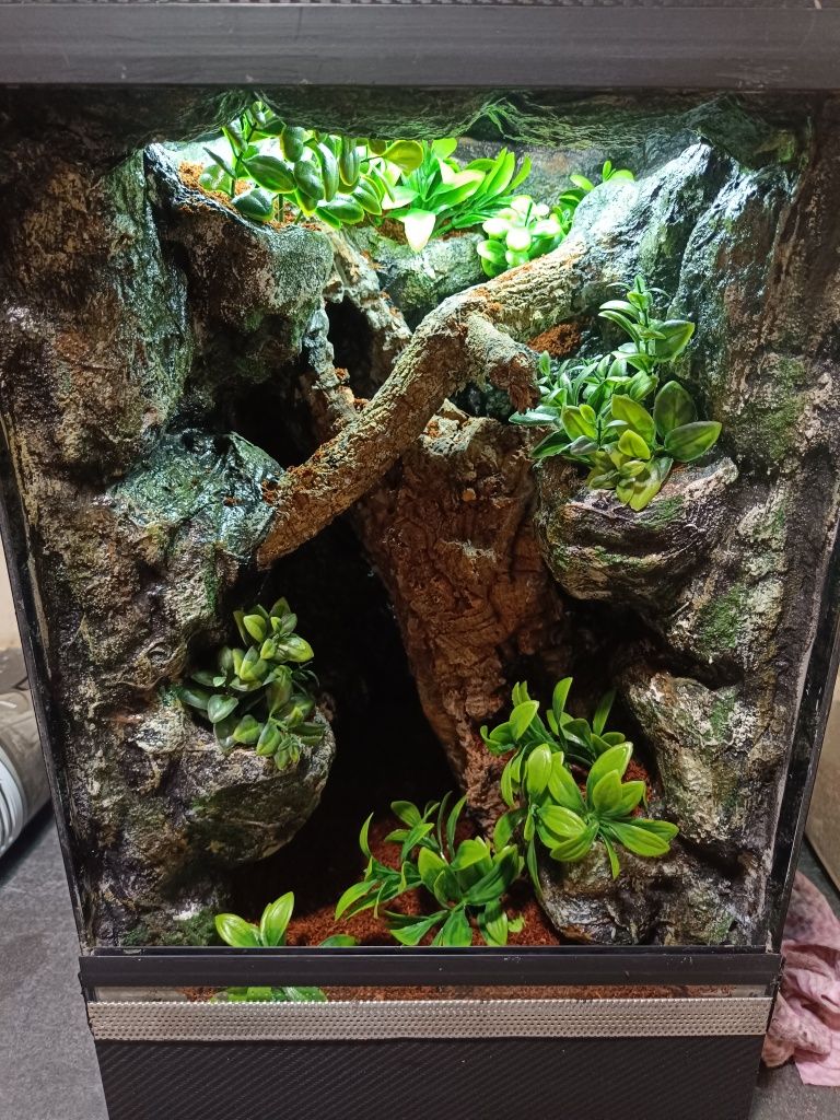 Terrarium 35x35x55 - dla gekona z wyposażeniem