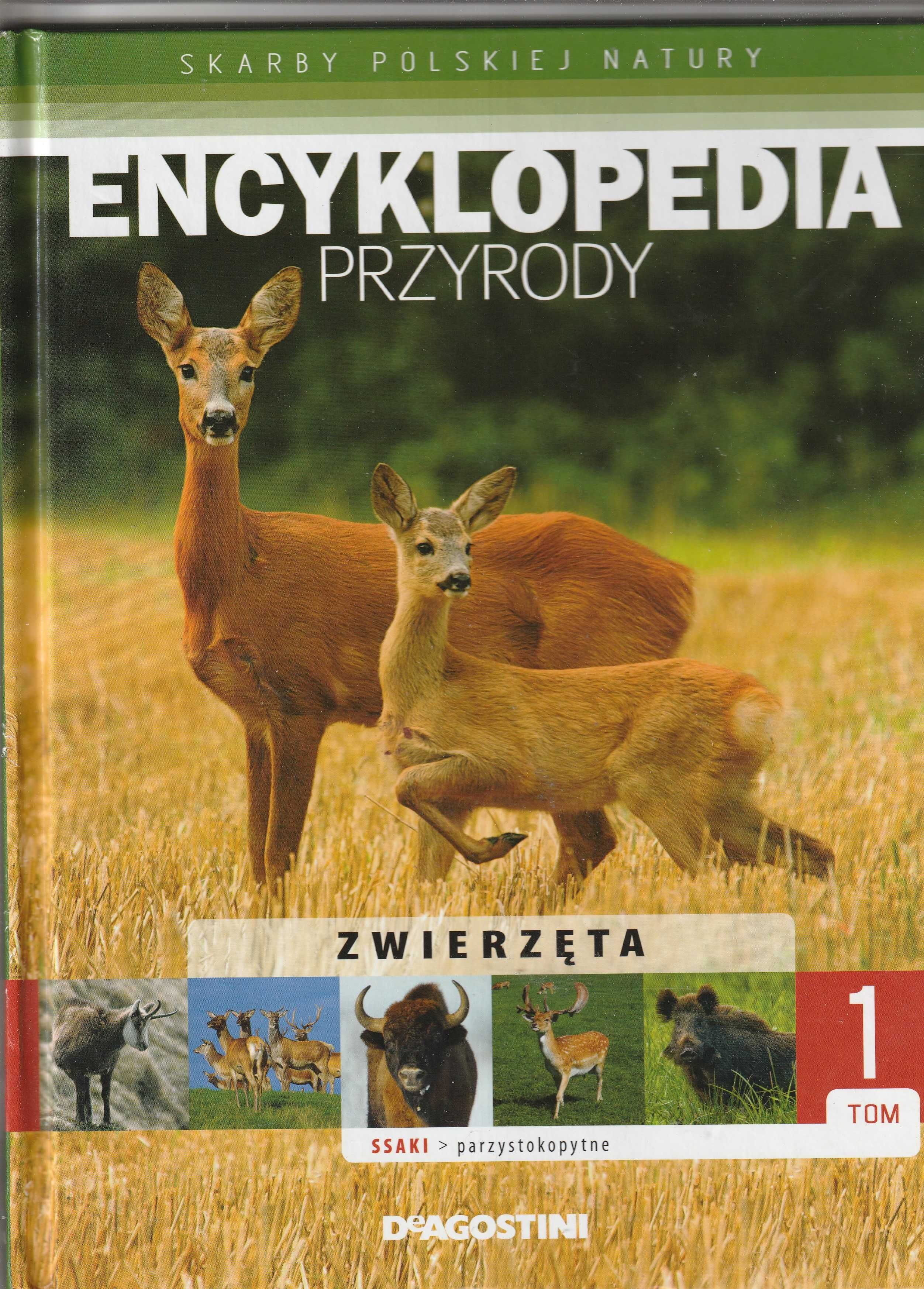 Encyklopedia przyrody. Ssaki parzystokopytne tom 1