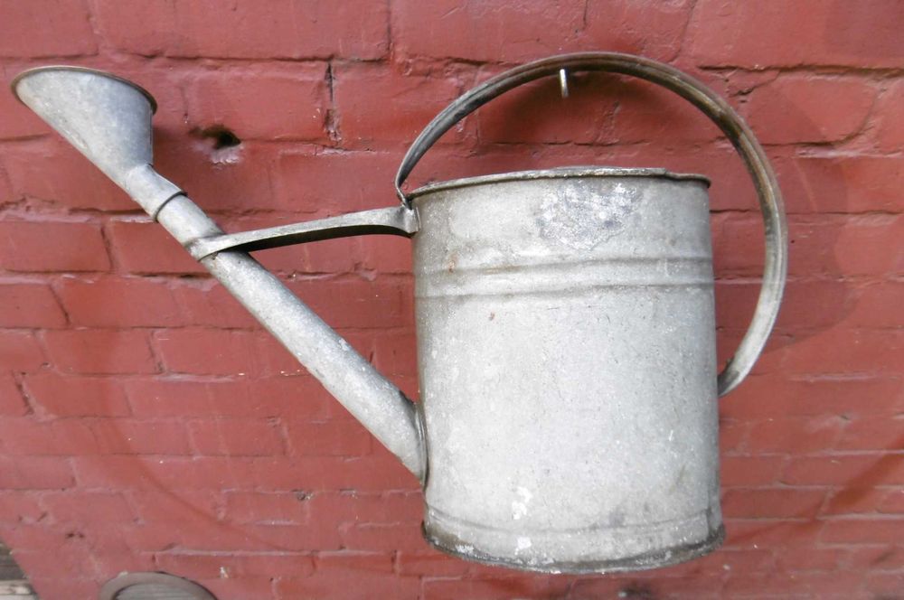 Konewka ogrodowa ocynkowane