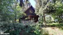 Drewniany dom letniskowy|Wierzbica|Rzeka, las |0%