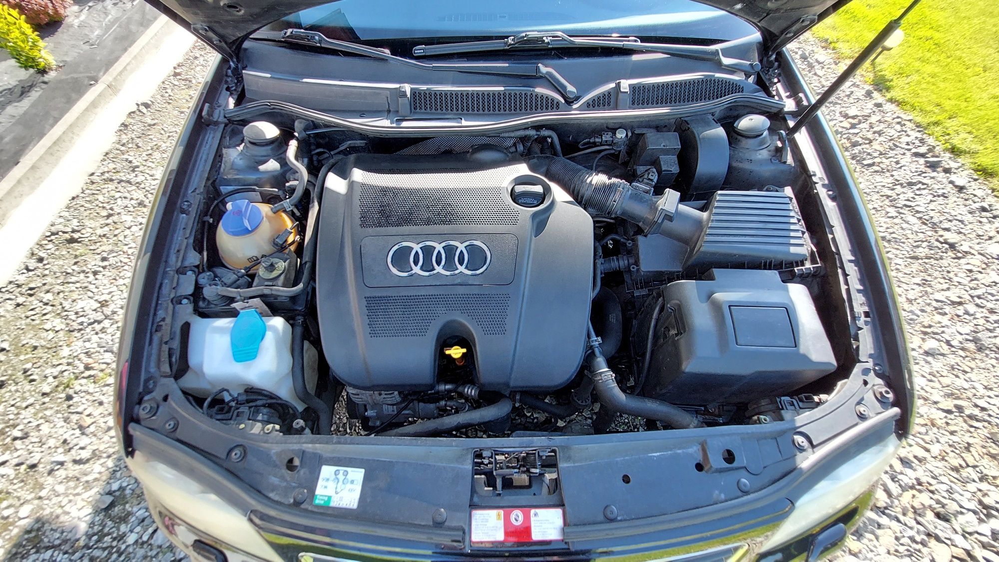 Audi A3 2001 r. 1.6 - Xenon/Klima/Elektryka/Bose