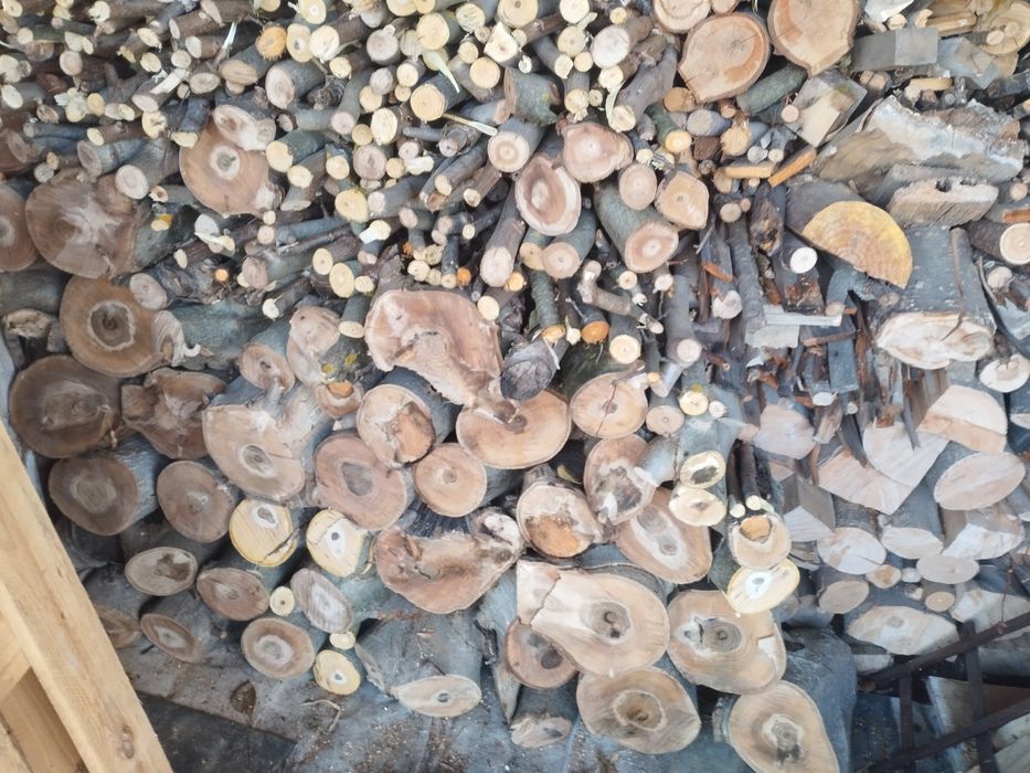 Drewno opałowe twarde.