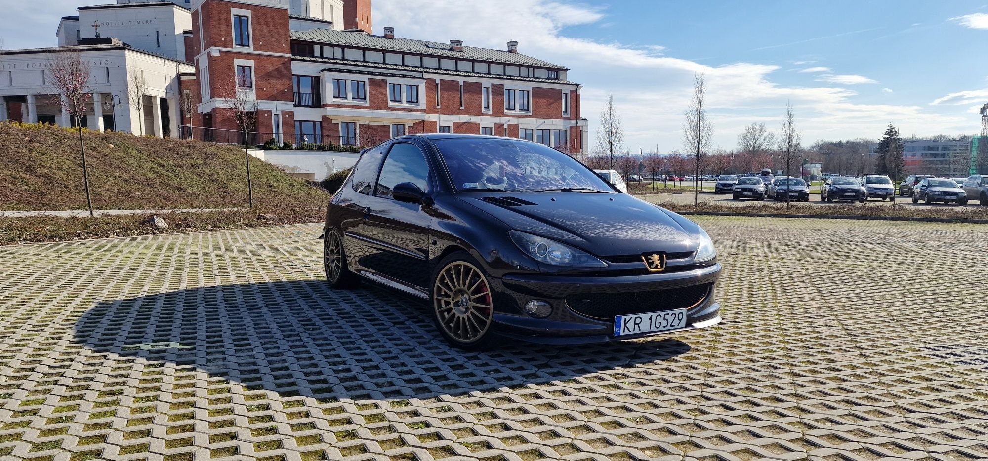 Peugeot 206 RC 2004