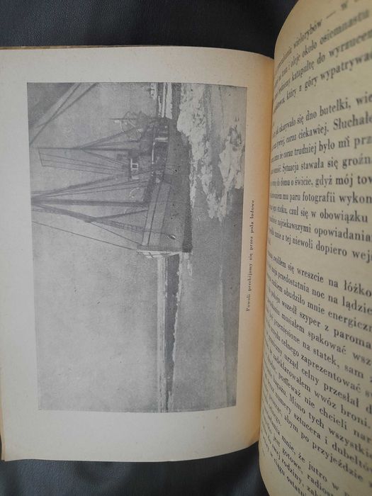 Biała foka Centkiewicz 1956r