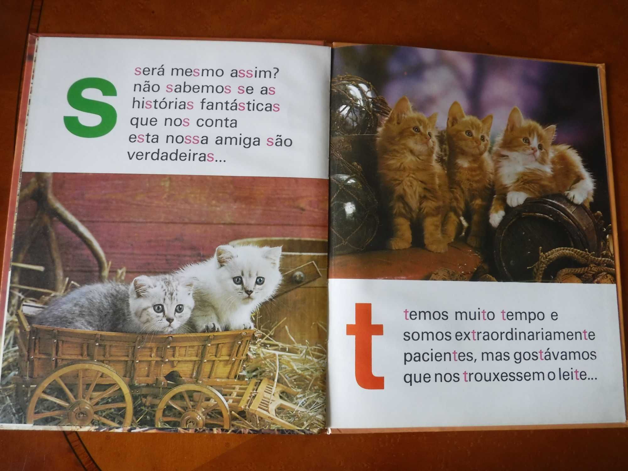 ABC dos Gatinhos - Para aprender as letras e a ler - 1981