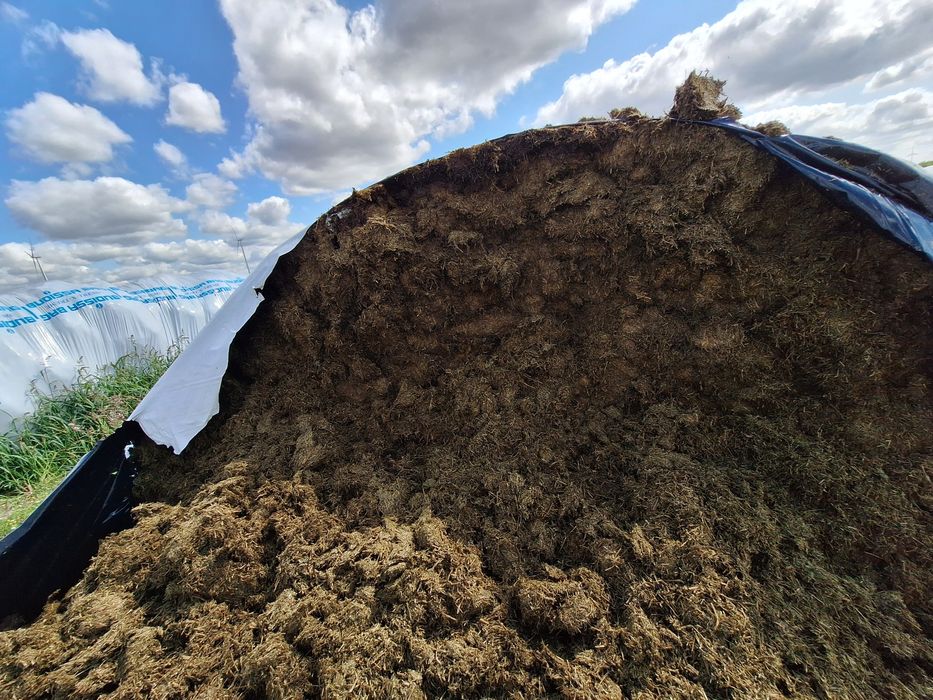 Śrutowanie gniecenie mielenie pakowanie zakiszanie w rękawy foliowe.