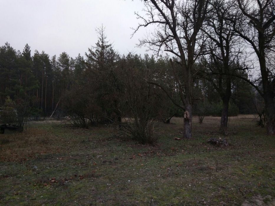 Продам участок земли в с. Рыхта. Вышгородский р-н. 21,2 сотки