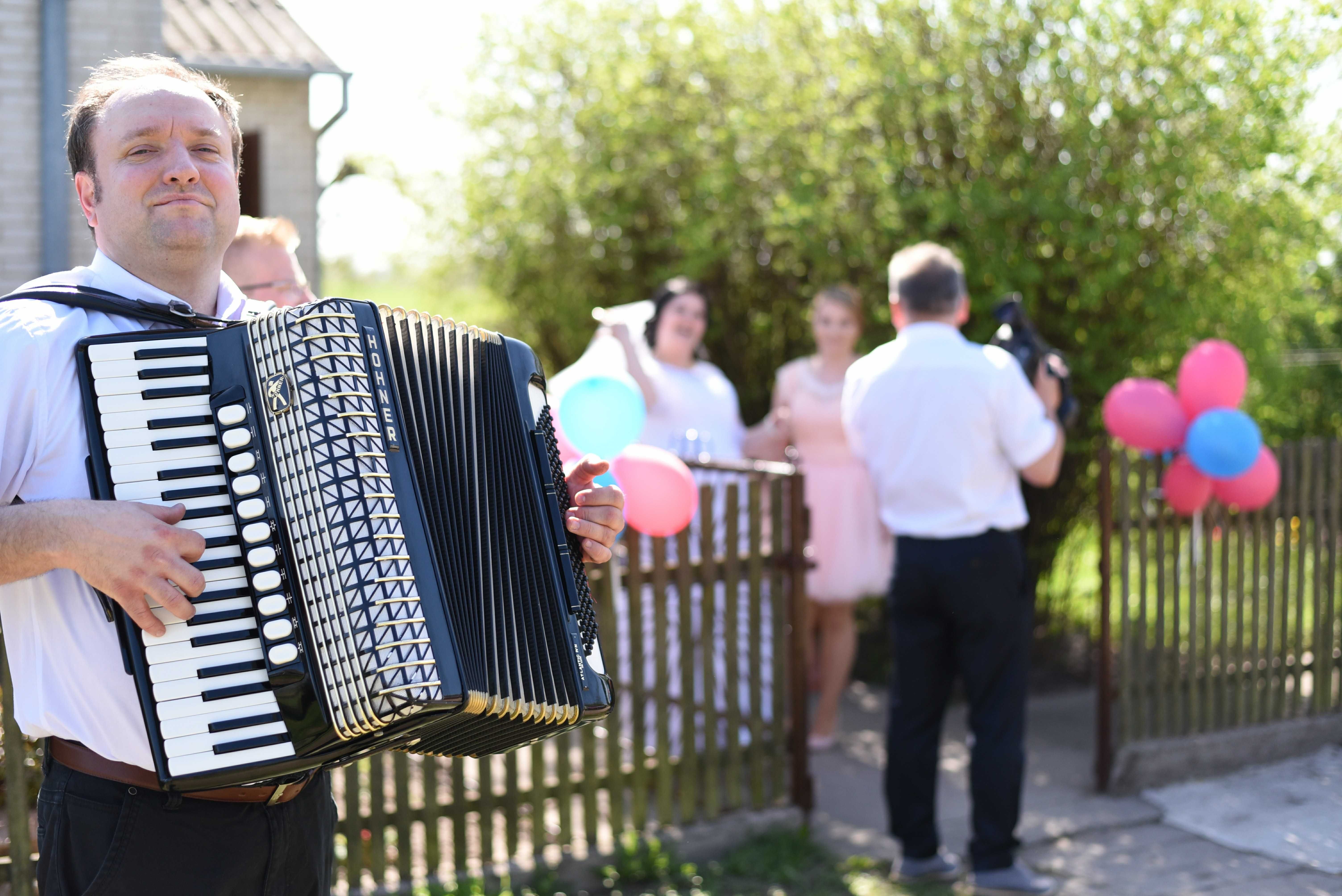 akordeonista do wynajęcia