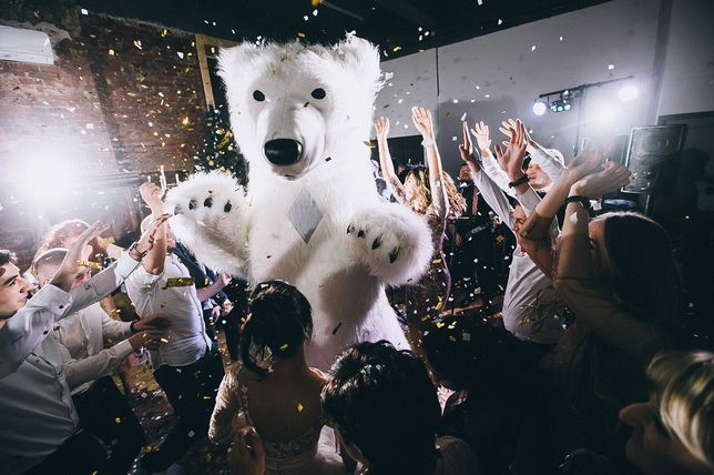 Великий білий ведмідь в Андрушівці