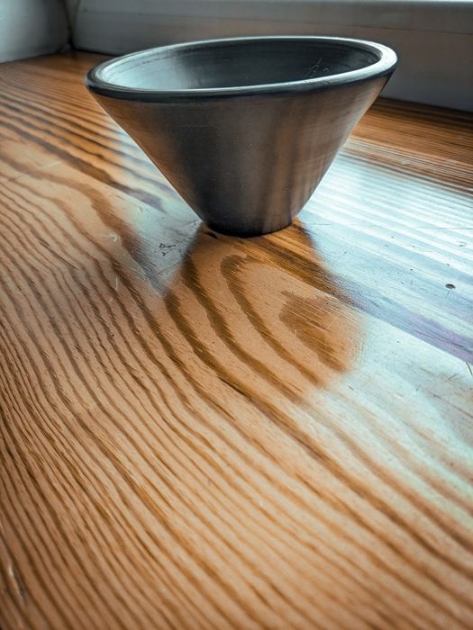 Чаша для пророщування з кісточки авокато  і манго