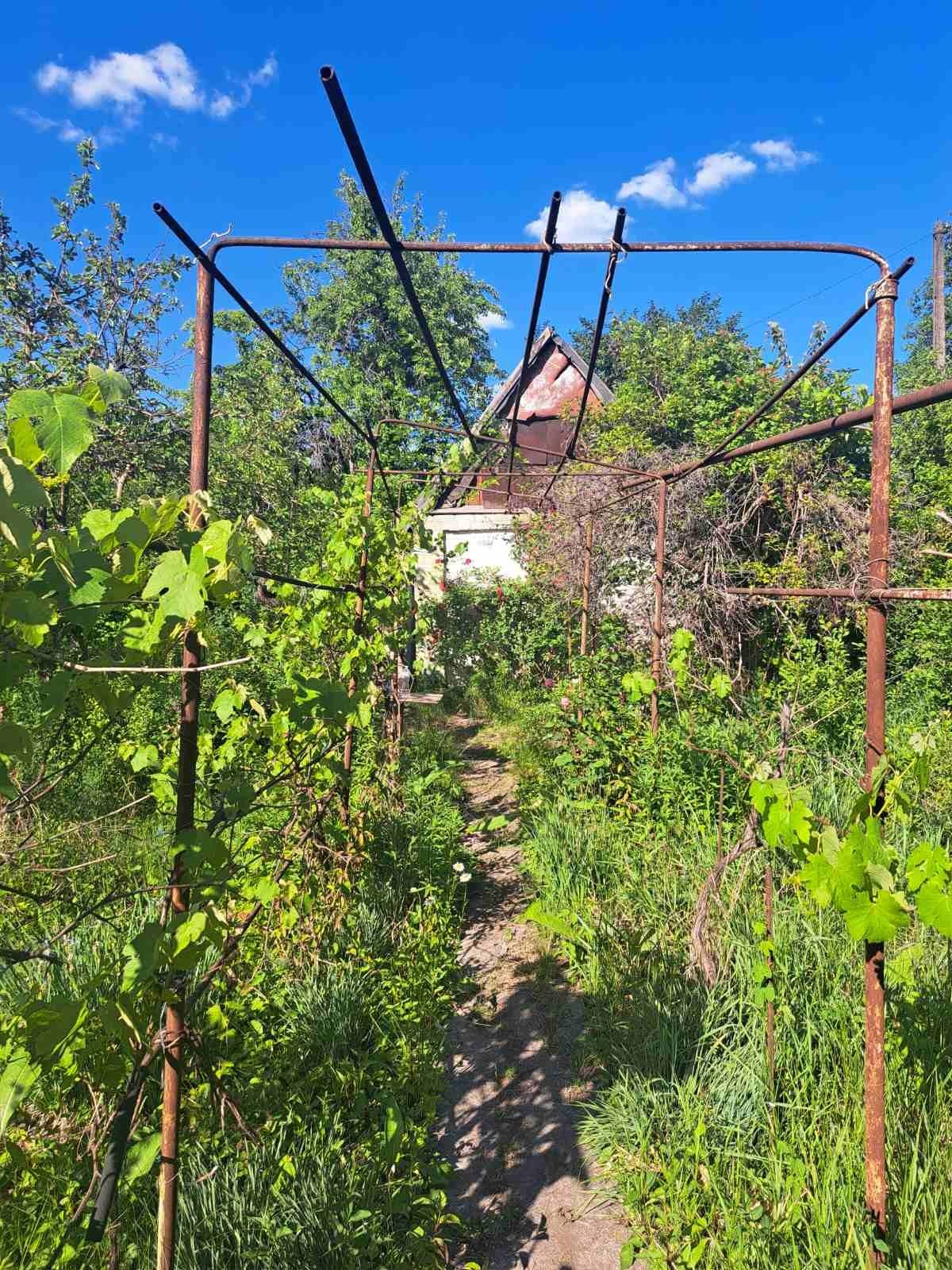 Дача Довгинцівському район. Дк Мічуринець