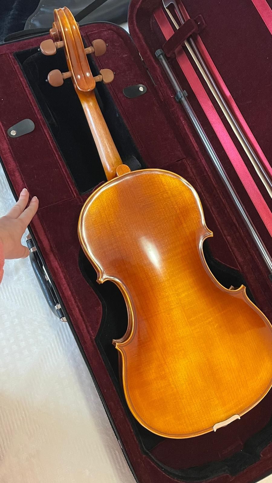 Viola d’arco Schüler