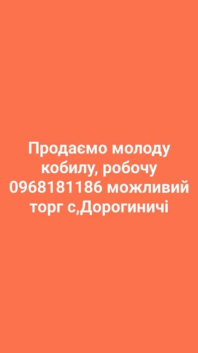 Кобила продам торг