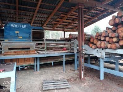 Linia do przecierania drewna Walter