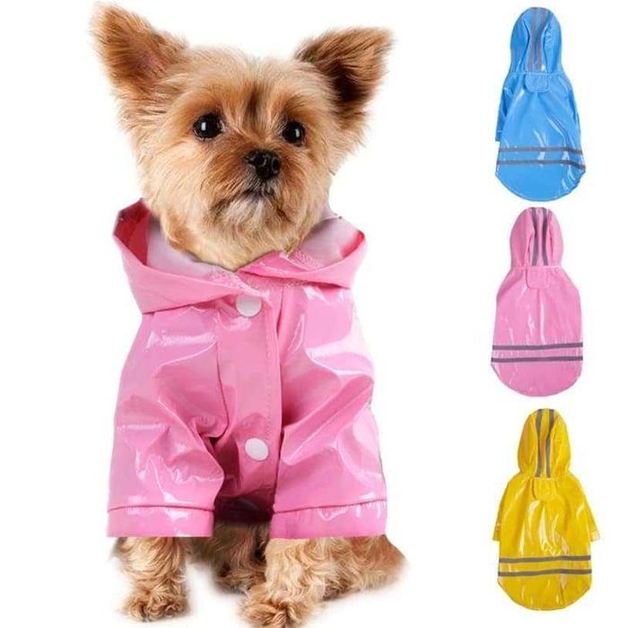 Roupinhas para cães pequeninos