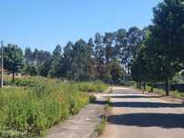 Terreno para construção em Fradelos - Vila Nova de Famalicão