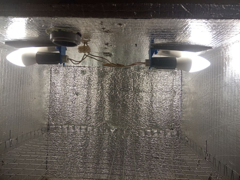 Инкубатор с терморегулятором