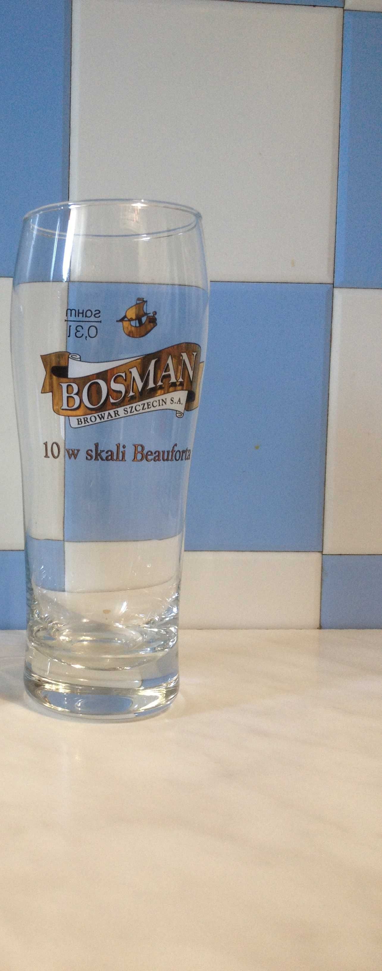 Kufel pokal kolekcjonerski Bosman 10 w skali Beuforta 0,3 litra
