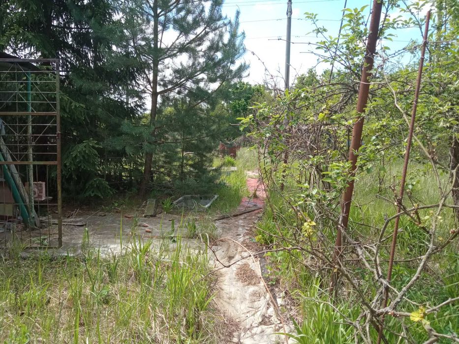 Продам дачний будинок в СТ Лісовий