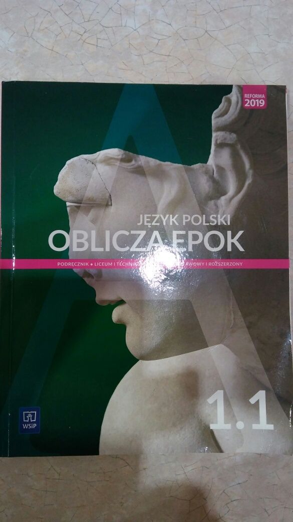 Język Polski Oblicza Epok 1.1