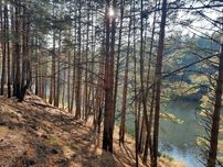 12 соток біля Київського моря с. Ровжи СТ"Вишневе" БЕЗ комісії