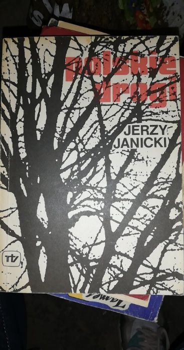 J. Branicki - Polskie drogi