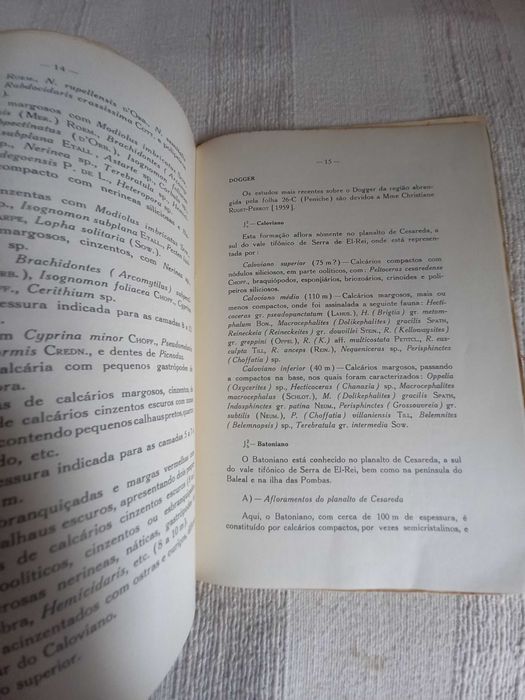 carta geológica de Peniche anos 60