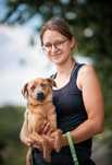 Ulek - młody psiak szuka nowej rodziny ADOPCJA
