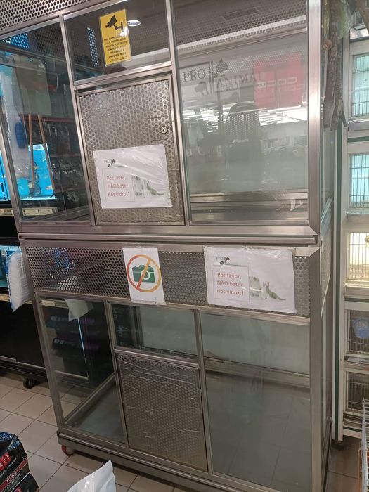 Expositor animais inox