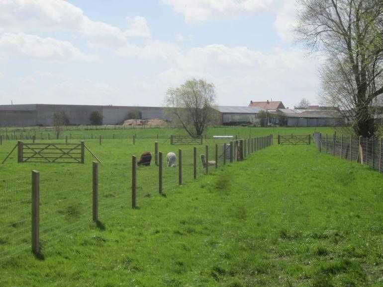 ogrodzenia budowlane siatka leśna brama tymczasowe