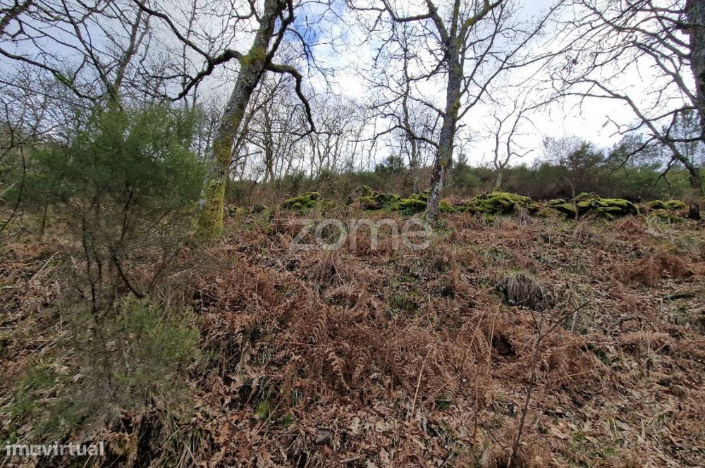 Terreno rústico para venda em Linharelhos, Montalegre