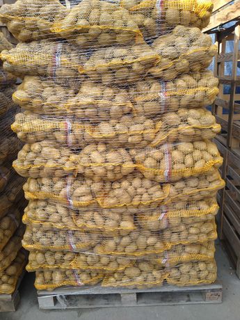 ziemniaki jadalne Belana 4,5+ szczotkowane, całotirowe lub mniejsze,
