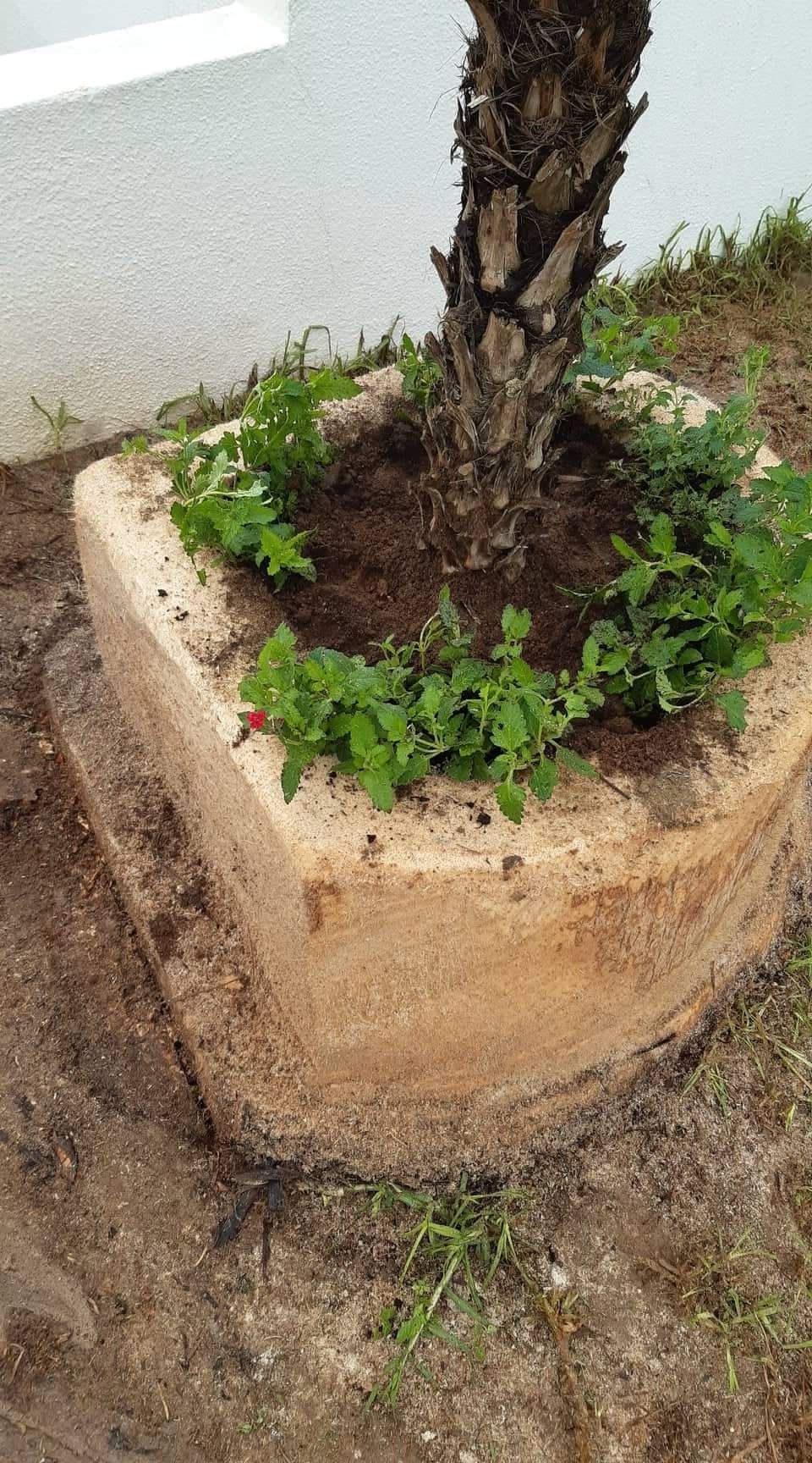 Jardineiro.  Manutenção e construção de jardins