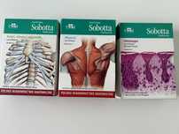 Fiszki Sobotta kości mięśnie i histologia