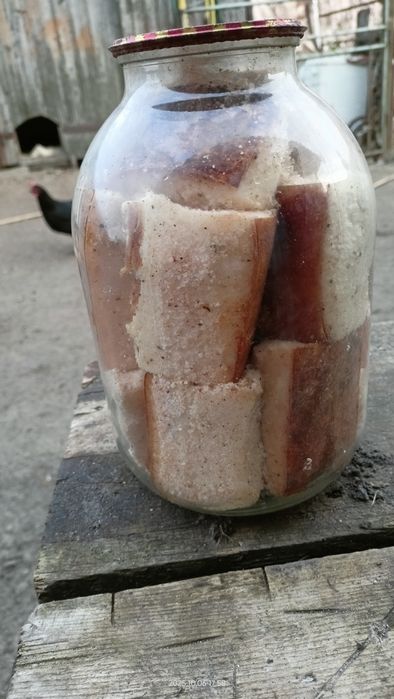 Продам сало домашнє