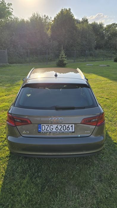 Audi A3 8V  1.6TDI  209tys.km.