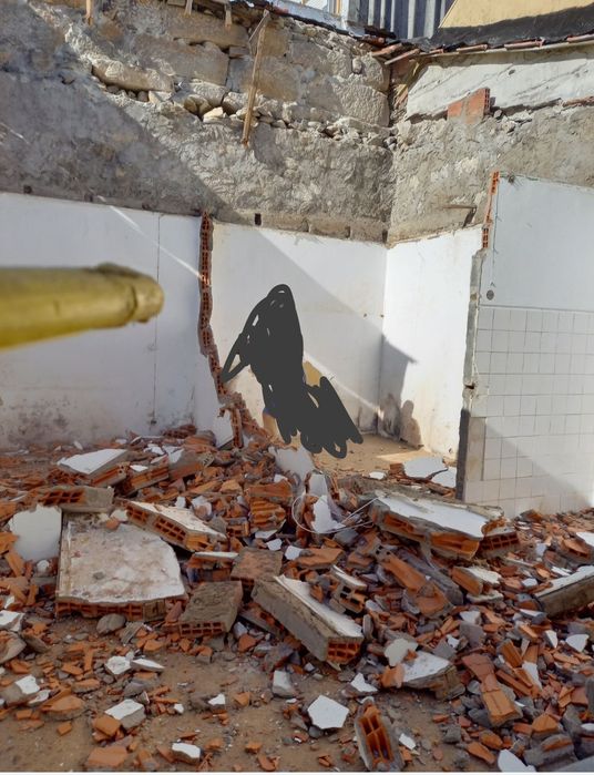 Demolição é remoção de entulho e lixo em geral