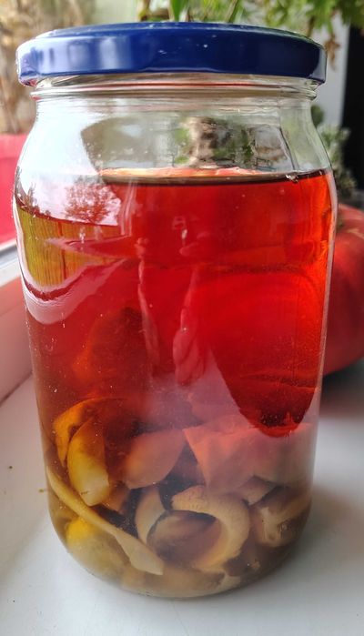 Sromotnik smrodliwy (bezwstydny) czarcie jaja.