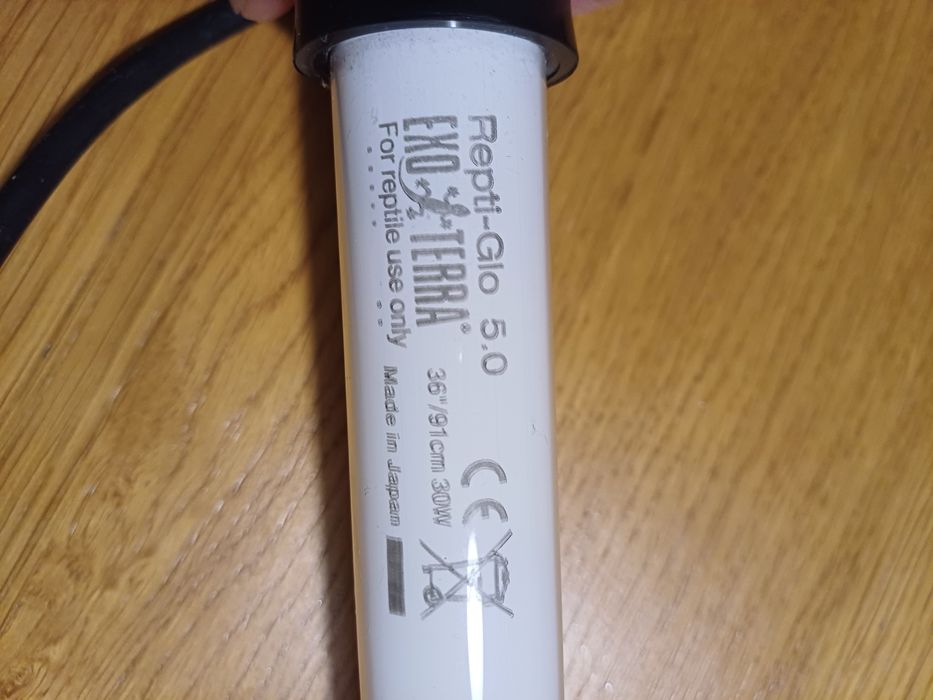 Lâmpada fluorescente para répteis