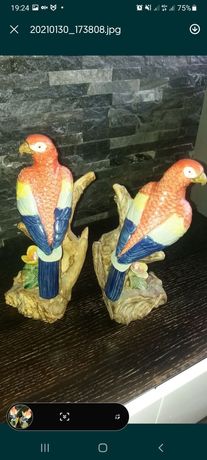 Papagaios de coleção - antiguidades