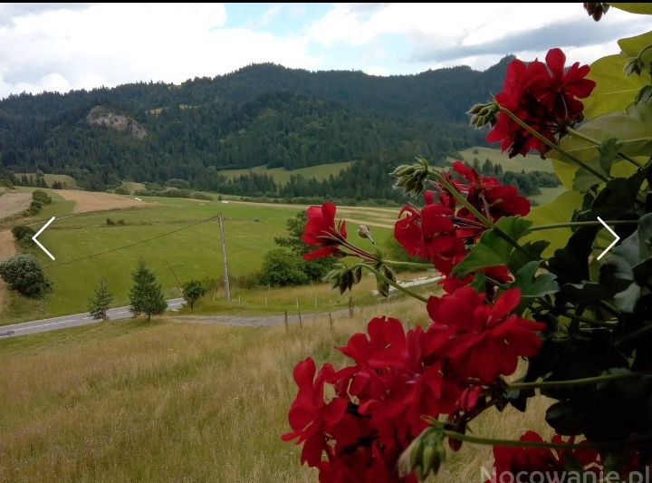 Noclegi  Pieniny Agroturystyka Pod Zamczyskiem pokojei Sromowce Wyżne