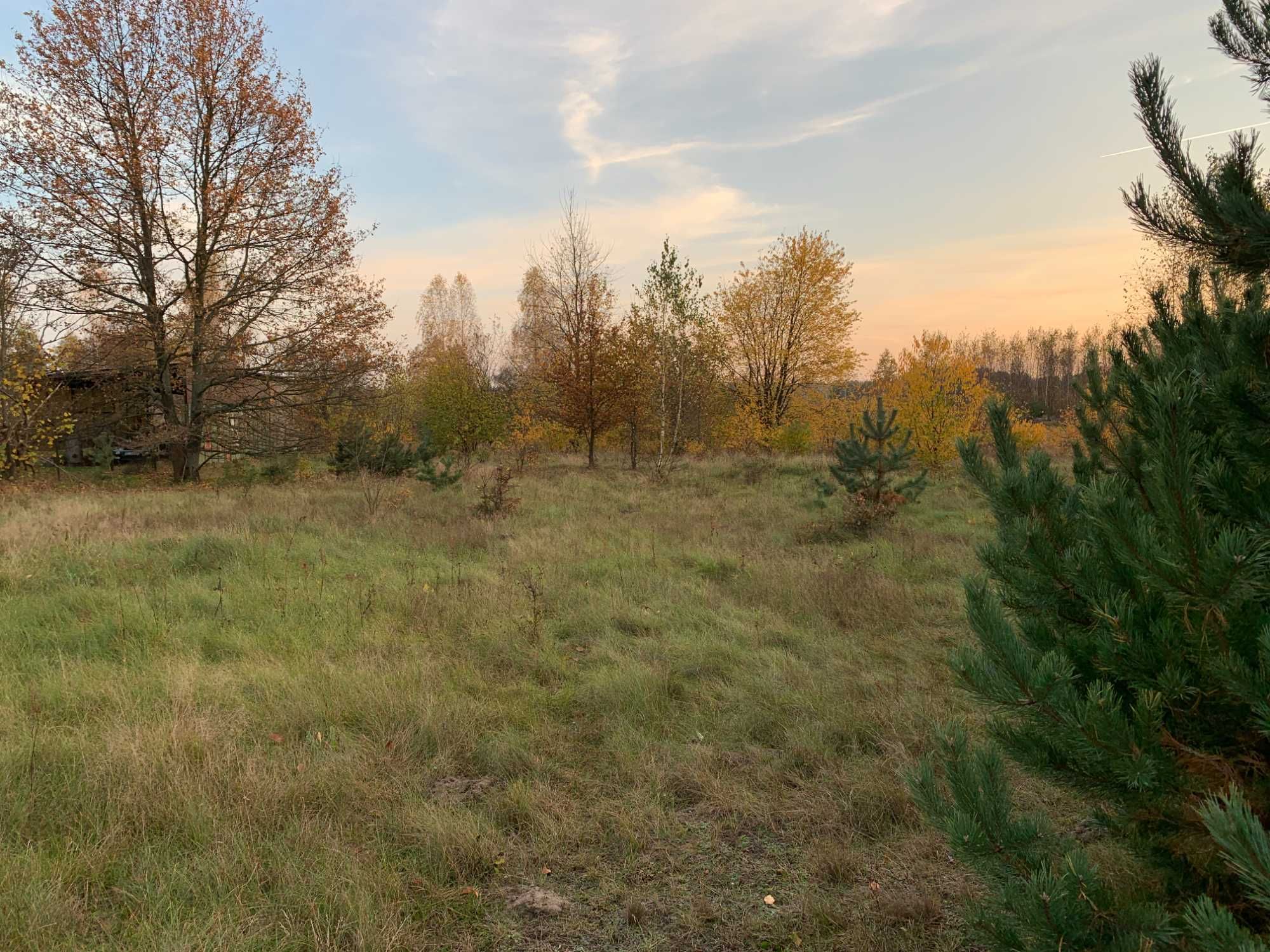 Pawlikowice, działka rolno budowlana