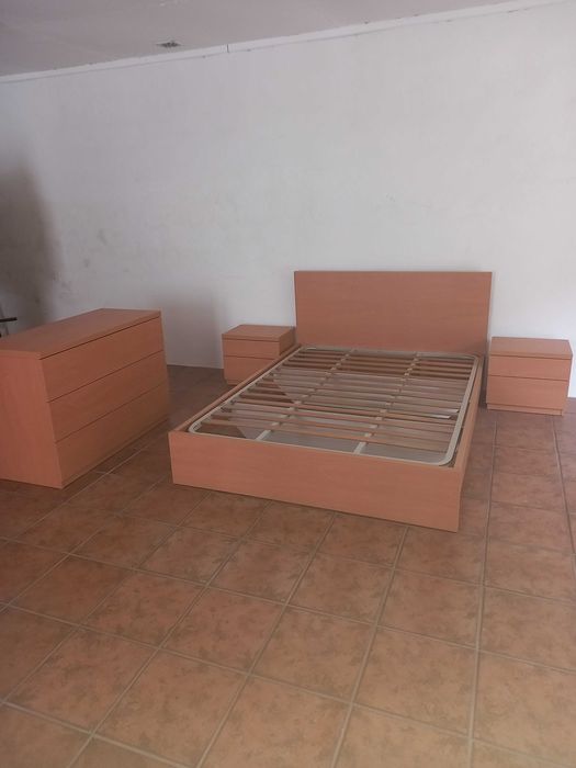 Carpinteiro,mercenaria