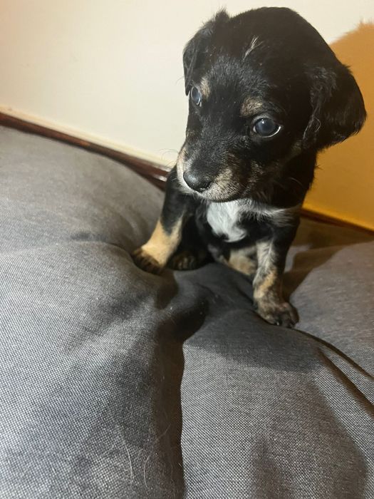 Para doação responsável