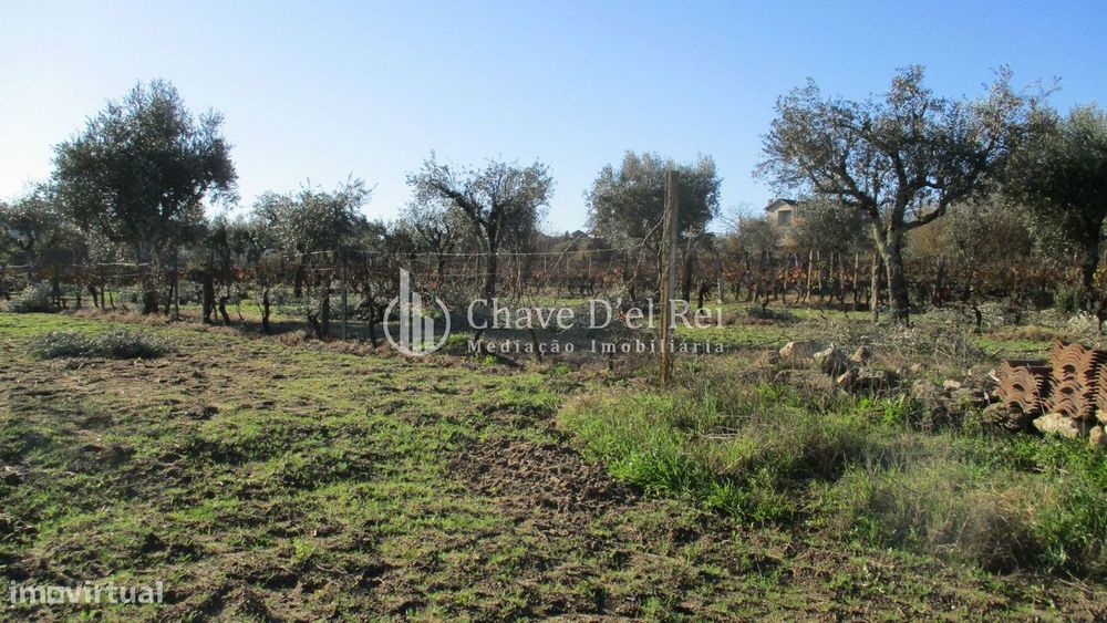 Quinta  Venda em São João de Lourosa,Viseu